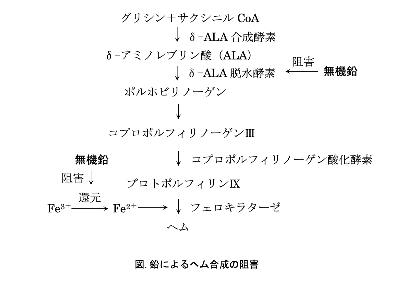 解説画像